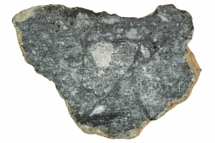 Polished Lunar Meteorite ( g) End Cut Slice - NWA #333157